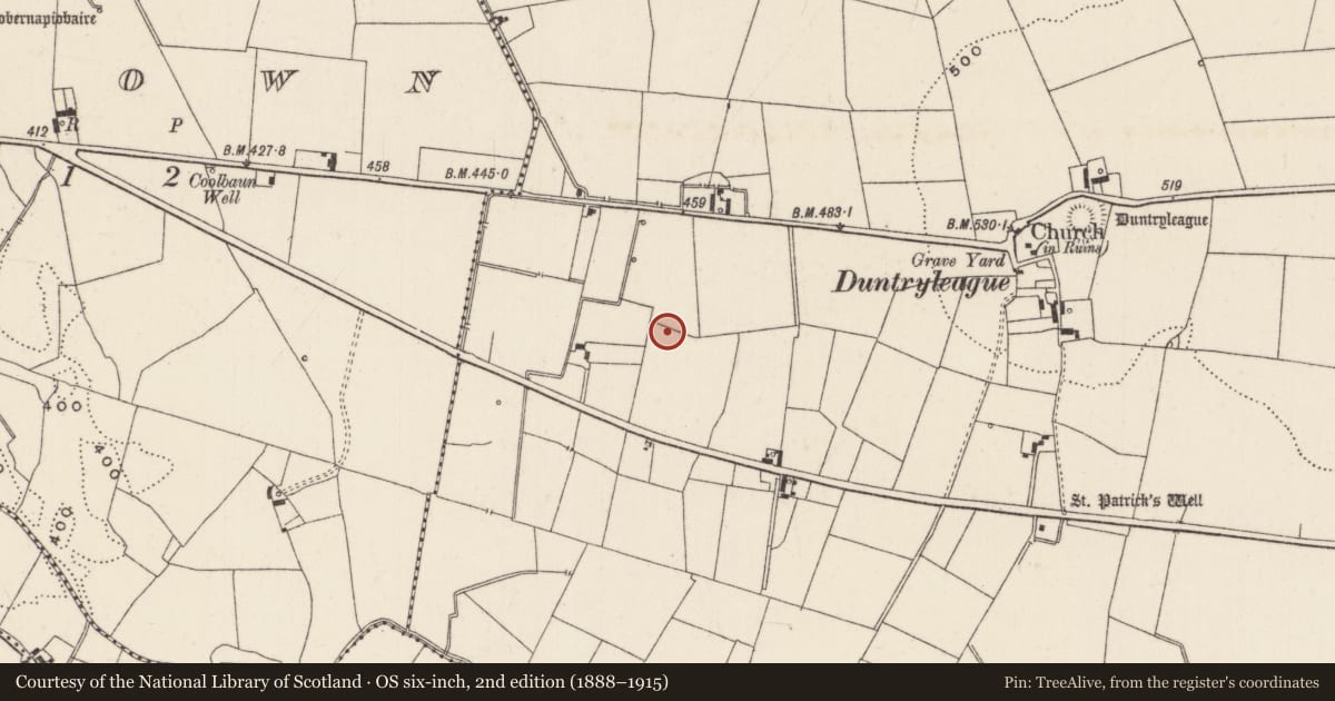 Ordnance Survey six-inch map, 2nd edition (1888–1915) covering the location of Pit, Duntryleague, County Limerick, with a pin at the register's coordinates