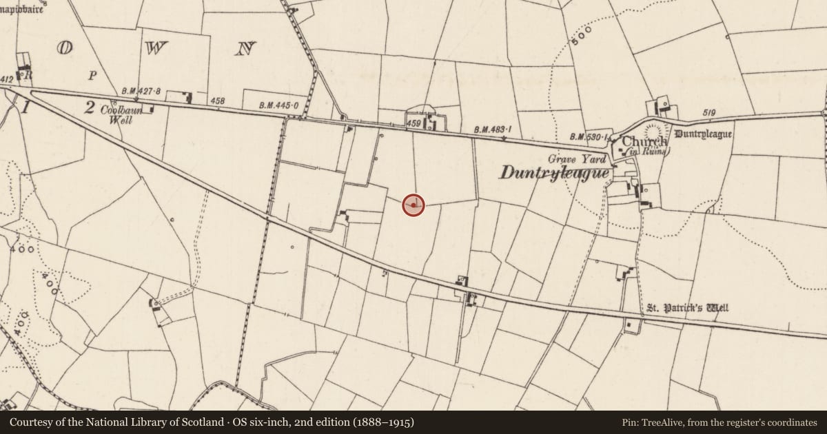 Ordnance Survey six-inch map, 2nd edition (1888–1915) covering the location of Barrow - ditch barrow, Duntryleague, County Limerick, with a pin at the register's coordinates