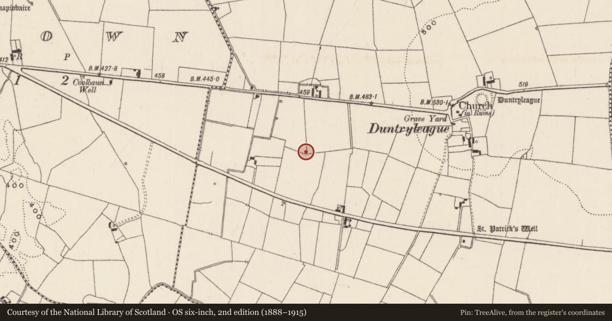 Ordnance Survey six-inch map, 2nd edition (1888–1915) covering the location of Ring-ditch, Duntryleague, County Limerick, with a pin at the register's coordinates