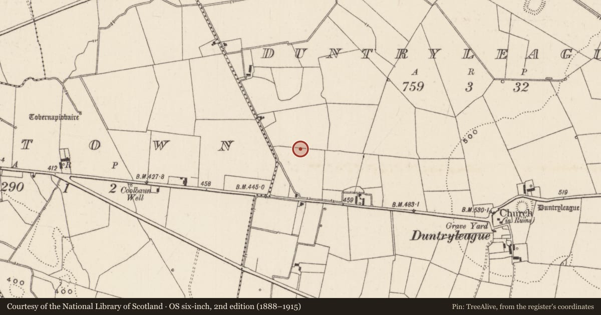 Ordnance Survey six-inch map, 2nd edition (1888–1915) covering the location of Field system, Duntryleague, County Limerick, with a pin at the register's coordinates