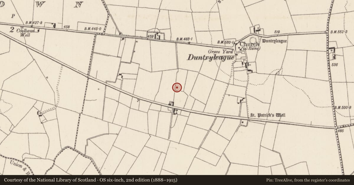 Ordnance Survey six-inch map, 2nd edition (1888–1915) covering the location of Excavation - miscellaneous, Duntryleague, County Limerick, with a pin at the register's coordinates