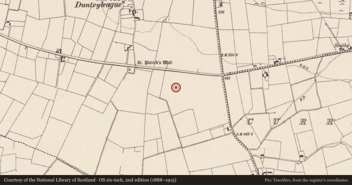 Ordnance Survey six-inch map, 2nd edition (1888–1915) covering the location of Field system, Duntryleague, County Limerick, with a pin at the register's coordinates