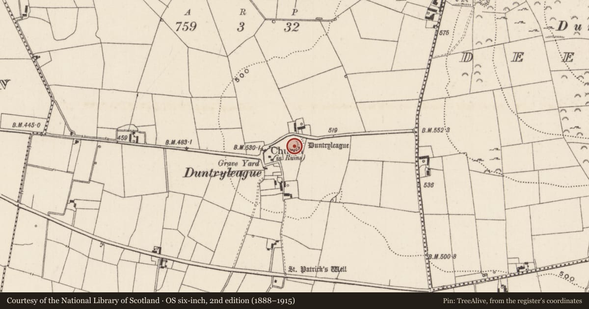 Ordnance Survey six-inch map, 2nd edition (1888–1915) covering the location of Castle - ringwork, Duntryleague, County Limerick, with a pin at the register's coordinates