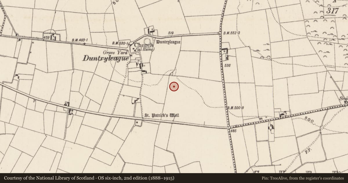 Ordnance Survey six-inch map, 2nd edition (1888–1915) covering the location of Earthwork, Duntryleague, County Limerick, with a pin at the register's coordinates