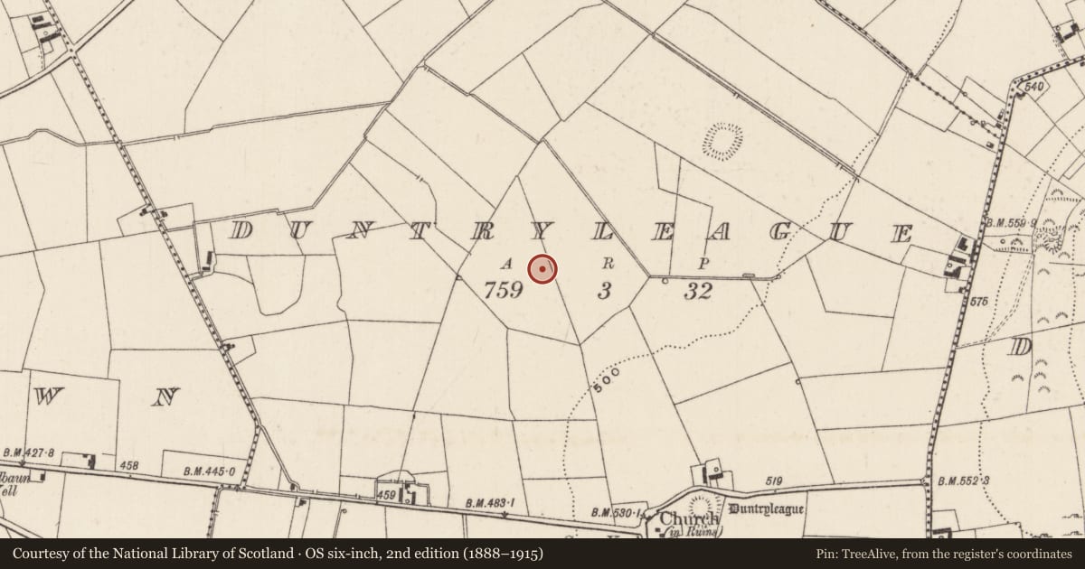 Ordnance Survey six-inch map, 2nd edition (1888–1915) covering the location of Earthwork, Duntryleague, County Limerick, with a pin at the register's coordinates