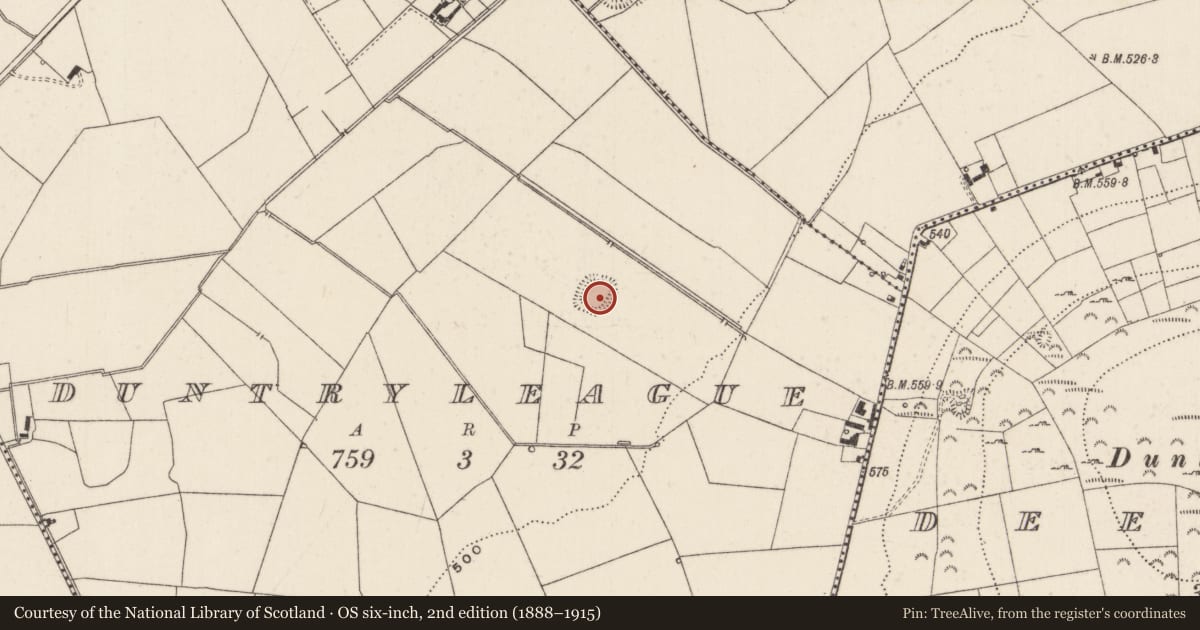 Ordnance Survey six-inch map, 2nd edition (1888–1915) covering the location of Moated site, Duntryleague, County Limerick, with a pin at the register's coordinates