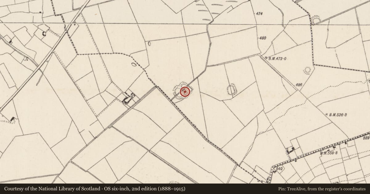 Ordnance Survey six-inch map, 2nd edition (1888–1915) covering the location of Earthwork, Ballynamona, County Limerick, with a pin at the register's coordinates