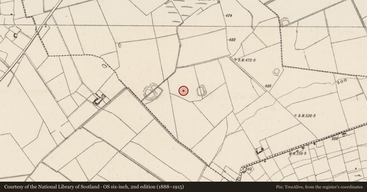 Ordnance Survey six-inch map, 2nd edition (1888–1915) covering the location of Moated site, Ballynamona, County Limerick, with a pin at the register's coordinates
