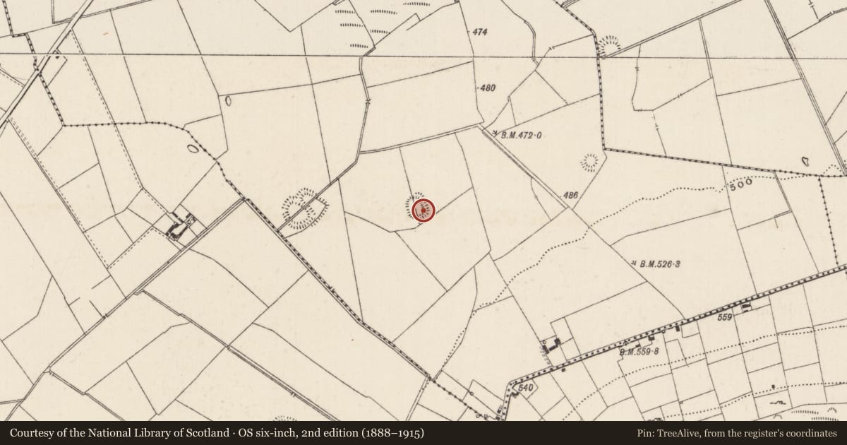 Ordnance Survey six-inch map, 2nd edition (1888–1915) covering the location of Earthwork, Ballynamona, County Limerick, with a pin at the register's coordinates