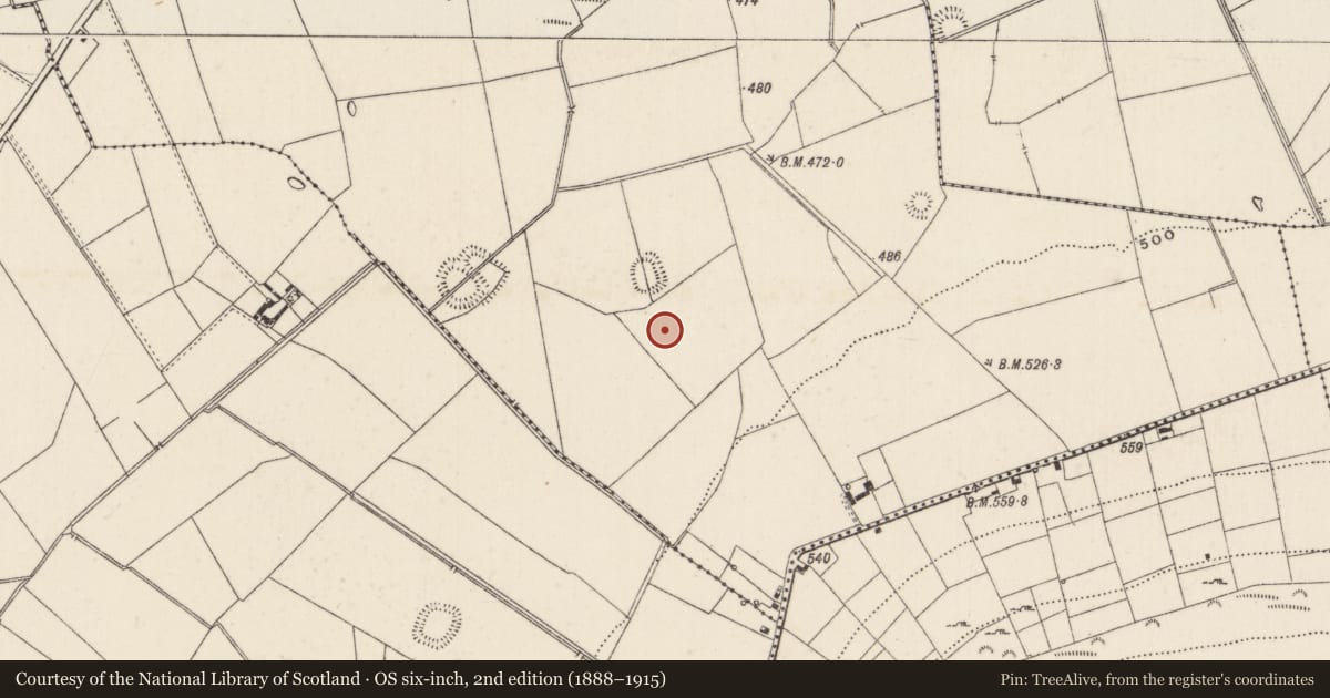 Ordnance Survey six-inch map, 2nd edition (1888–1915) covering the location of Earthwork, Ballynamona, County Limerick, with a pin at the register's coordinates
