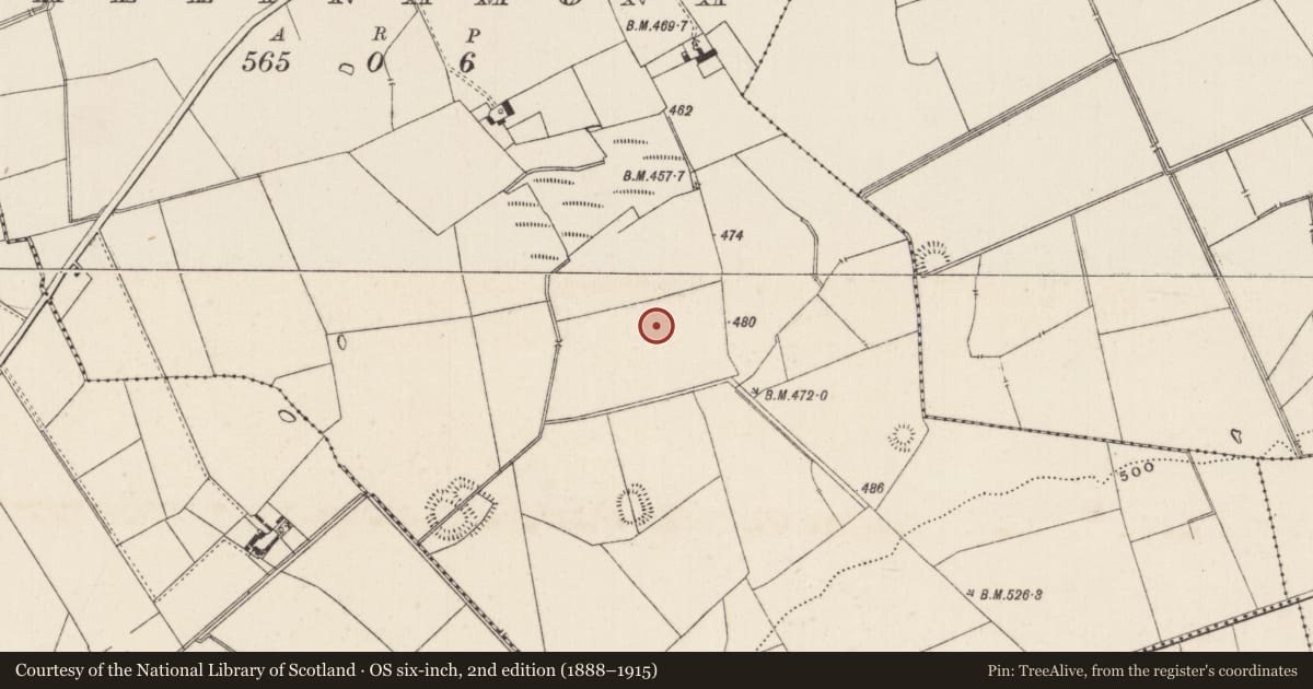 Ordnance Survey six-inch map, 2nd edition (1888–1915) covering the location of Earthwork, Ballynamona, County Limerick, with a pin at the register's coordinates