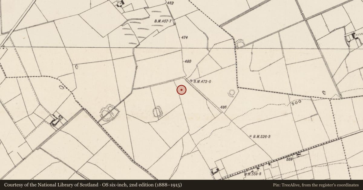 Ordnance Survey six-inch map, 2nd edition (1888–1915) covering the location of Barrow - ditch barrow, Ballynamona, County Limerick, with a pin at the register's coordinates