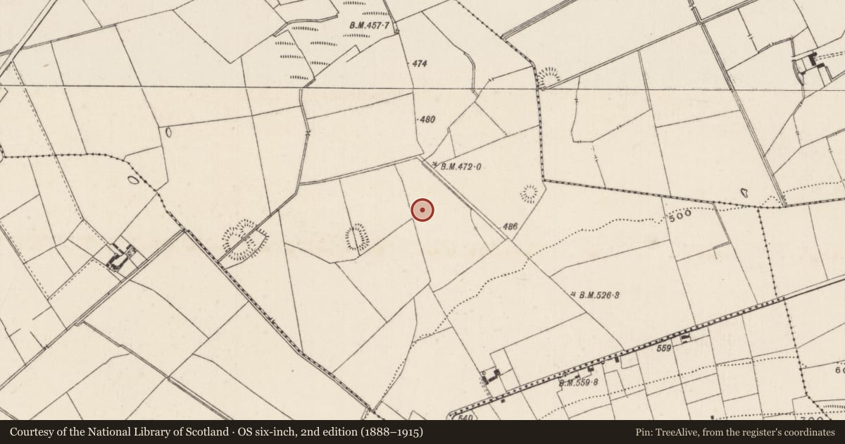 Ordnance Survey six-inch map, 2nd edition (1888–1915) covering the location of Barrow - ditch barrow, Ballynamona, County Limerick, with a pin at the register's coordinates