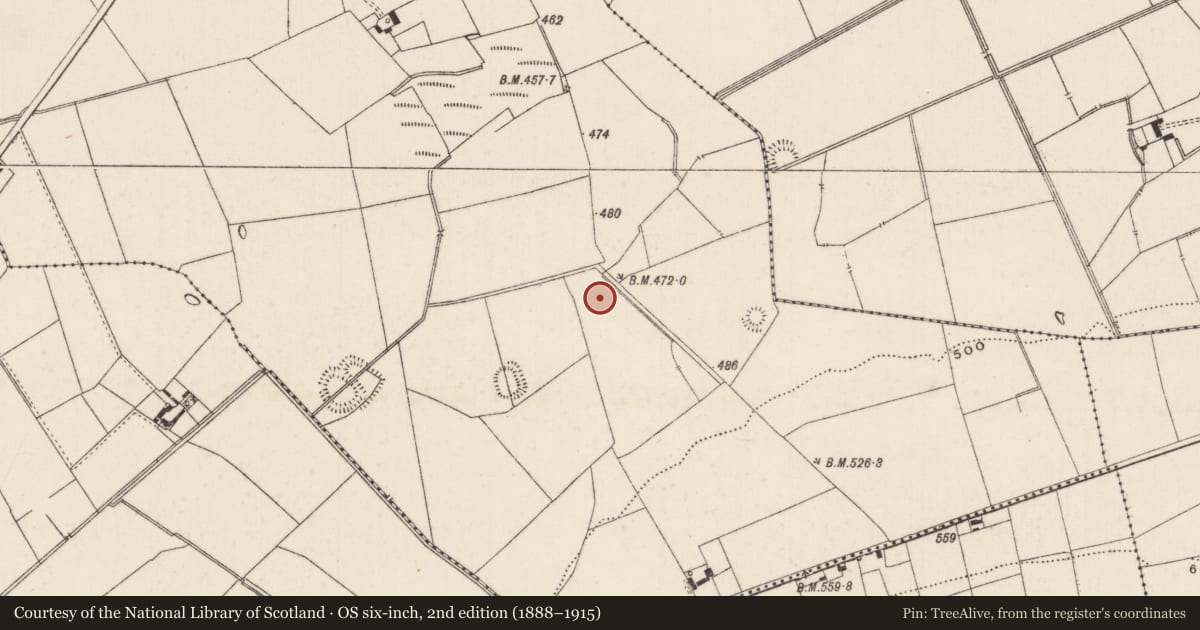 Ordnance Survey six-inch map, 2nd edition (1888–1915) covering the location of Barrow - ditch barrow, Ballynamona, County Limerick, with a pin at the register's coordinates