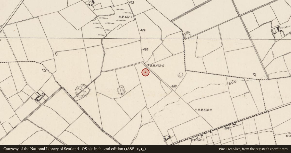 Ordnance Survey six-inch map, 2nd edition (1888–1915) covering the location of Barrow - ditch barrow, Ballynamona, County Limerick, with a pin at the register's coordinates