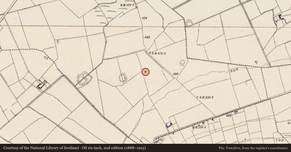 Ordnance Survey six-inch map, 2nd edition (1888–1915) covering the location of Barrow - ditch barrow, Ballynamona, County Limerick, with a pin at the register's coordinates