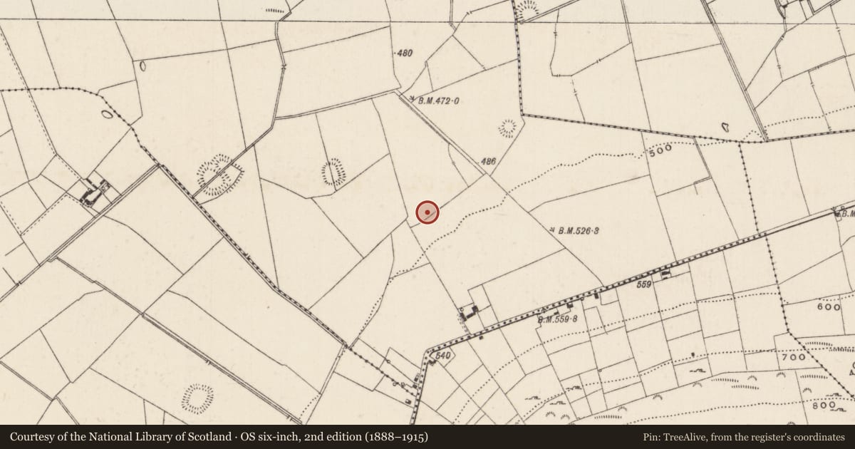 Ordnance Survey six-inch map, 2nd edition (1888–1915) covering the location of Barrow - ditch barrow, Ballynamona, County Limerick, with a pin at the register's coordinates