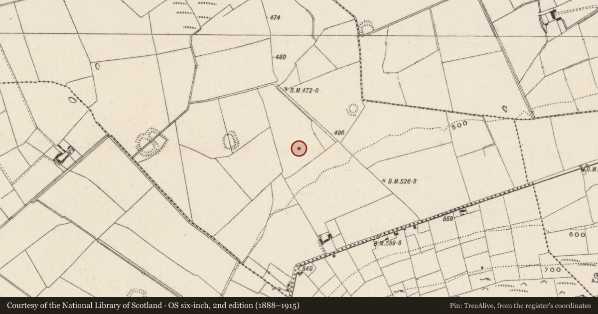 Ordnance Survey six-inch map, 2nd edition (1888–1915) covering the location of Barrow - ditch barrow, Ballynamona, County Limerick, with a pin at the register's coordinates