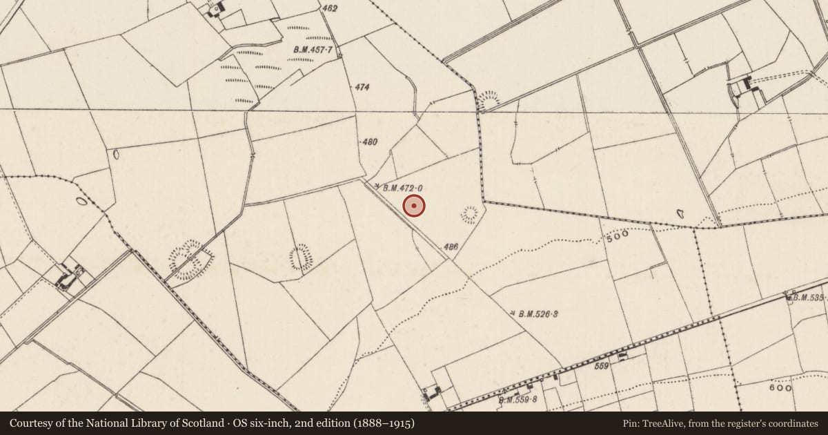 Ordnance Survey six-inch map, 2nd edition (1888–1915) covering the location of Barrow - ditch barrow, Ballynamona, County Limerick, with a pin at the register's coordinates