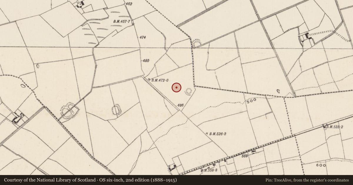 Ordnance Survey six-inch map, 2nd edition (1888–1915) covering the location of Barrow - ditch barrow, Ballynamona, County Limerick, with a pin at the register's coordinates
