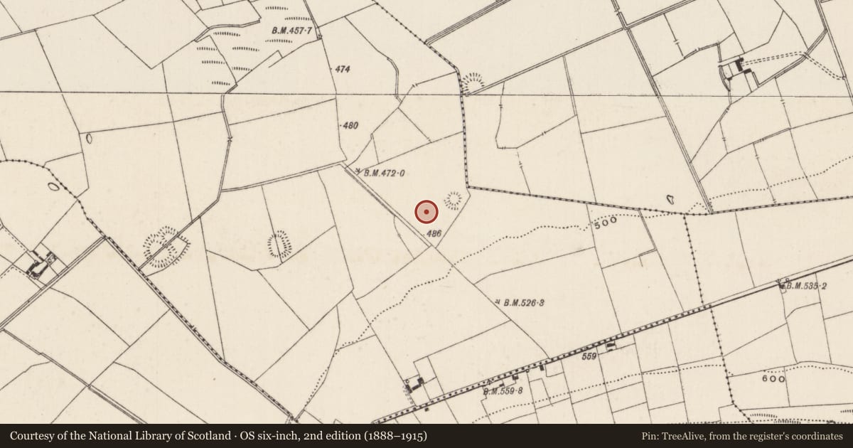 Ordnance Survey six-inch map, 2nd edition (1888–1915) covering the location of Barrow - ditch barrow, Ballynamona, County Limerick, with a pin at the register's coordinates