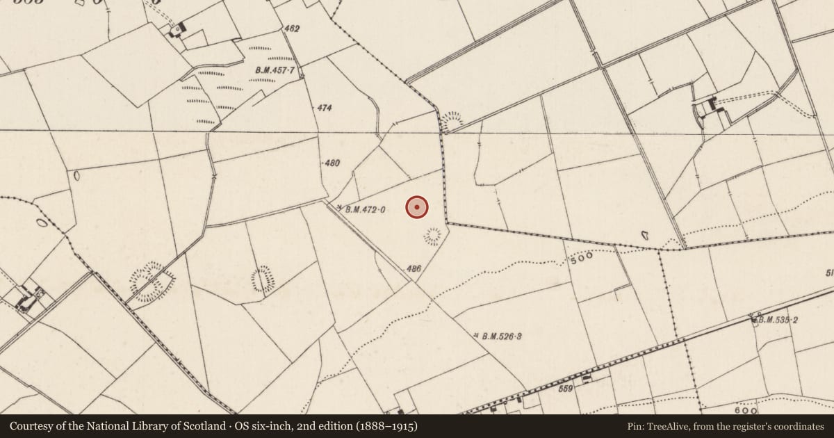 Ordnance Survey six-inch map, 2nd edition (1888–1915) covering the location of Barrow - ditch barrow, Ballynamona, County Limerick, with a pin at the register's coordinates