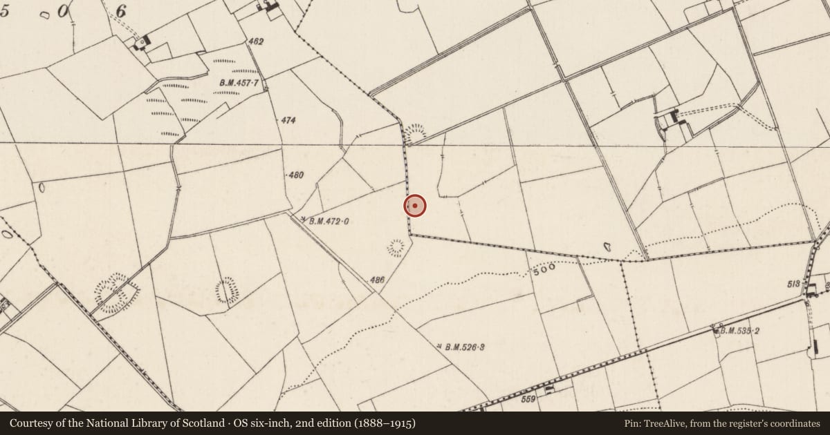 Ordnance Survey six-inch map, 2nd edition (1888–1915) covering the location of Barrow - ditch barrow, Lissard, County Limerick, with a pin at the register's coordinates