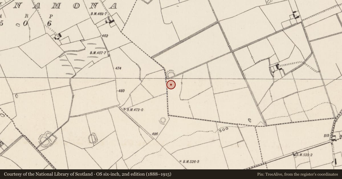 Ordnance Survey six-inch map, 2nd edition (1888–1915) covering the location of Barrow - ditch barrow, Lissard, County Limerick, with a pin at the register's coordinates