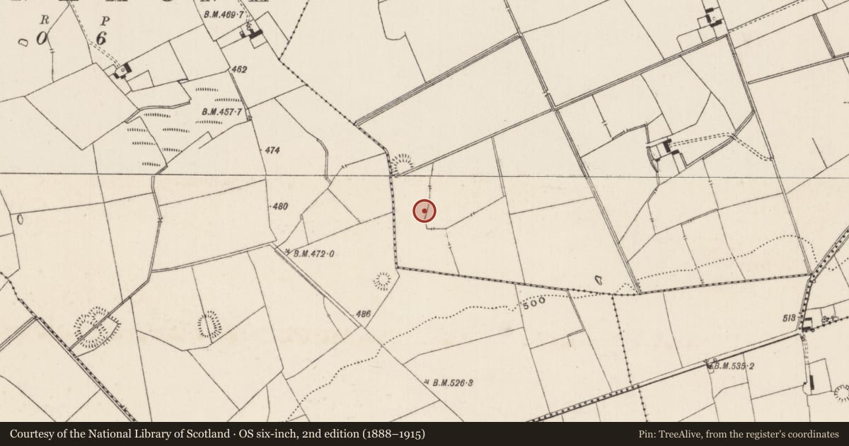 Ordnance Survey six-inch map, 2nd edition (1888–1915) covering the location of Barrow - ditch barrow, Lissard, County Limerick, with a pin at the register's coordinates