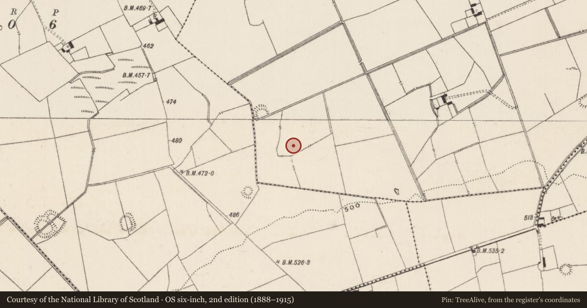 Ordnance Survey six-inch map, 2nd edition (1888–1915) covering the location of Barrow - ditch barrow, Lissard, County Limerick, with a pin at the register's coordinates