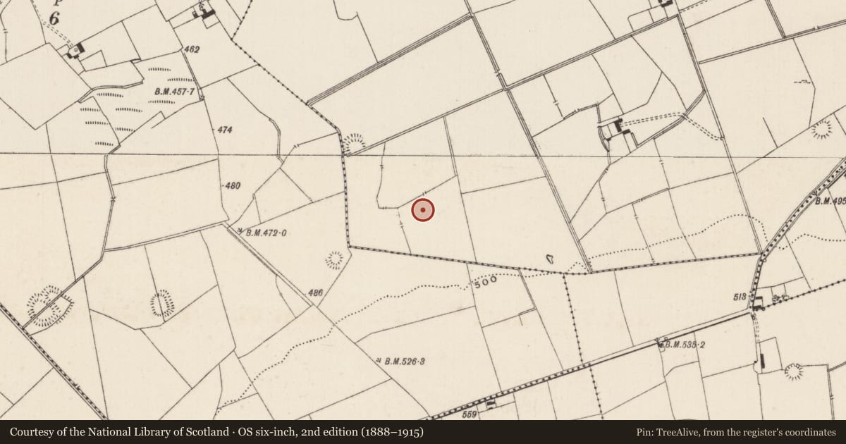 Ordnance Survey six-inch map, 2nd edition (1888–1915) covering the location of Barrow - ditch barrow, Lissard, County Limerick, with a pin at the register's coordinates