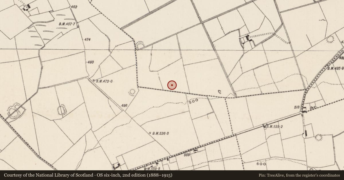 Ordnance Survey six-inch map, 2nd edition (1888–1915) covering the location of Barrow - ditch barrow, Lissard, County Limerick, with a pin at the register's coordinates