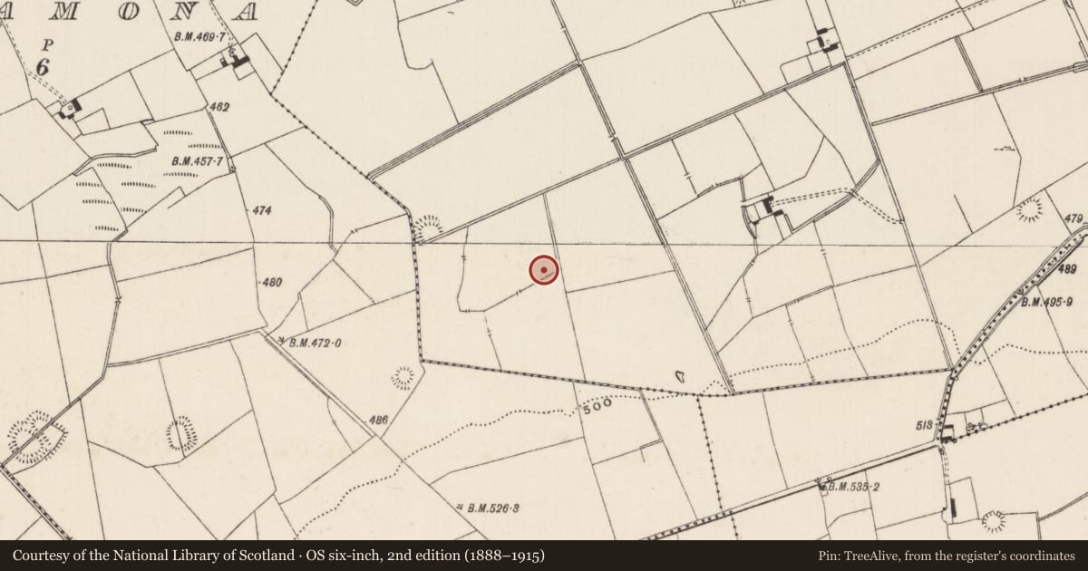 Ordnance Survey six-inch map, 2nd edition (1888–1915) covering the location of Barrow - unclassified, Lissard, County Limerick, with a pin at the register's coordinates