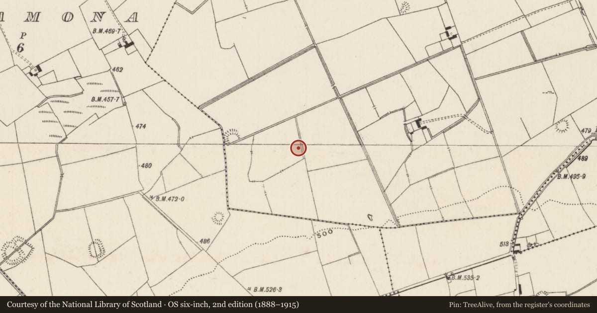 Ordnance Survey six-inch map, 2nd edition (1888–1915) covering the location of Barrow - ditch barrow, Lissard, County Limerick, with a pin at the register's coordinates