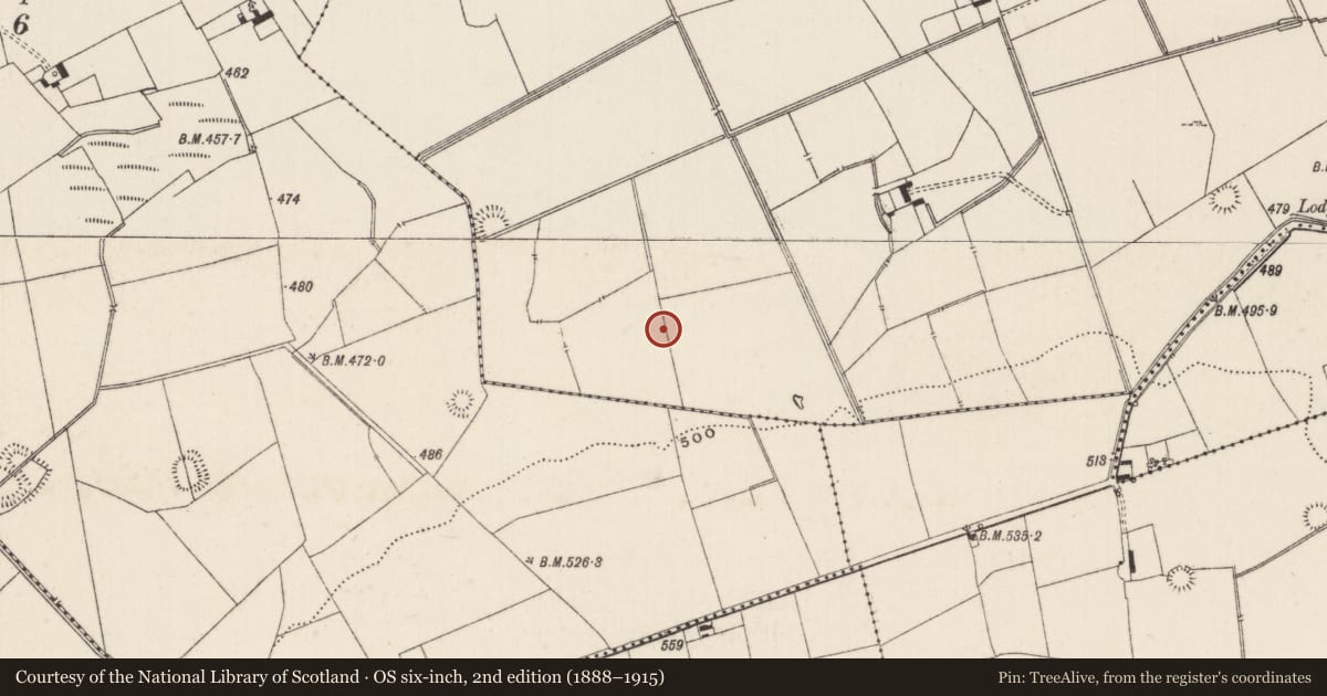 Ordnance Survey six-inch map, 2nd edition (1888–1915) covering the location of Barrow - unclassified, Lissard, County Limerick, with a pin at the register's coordinates