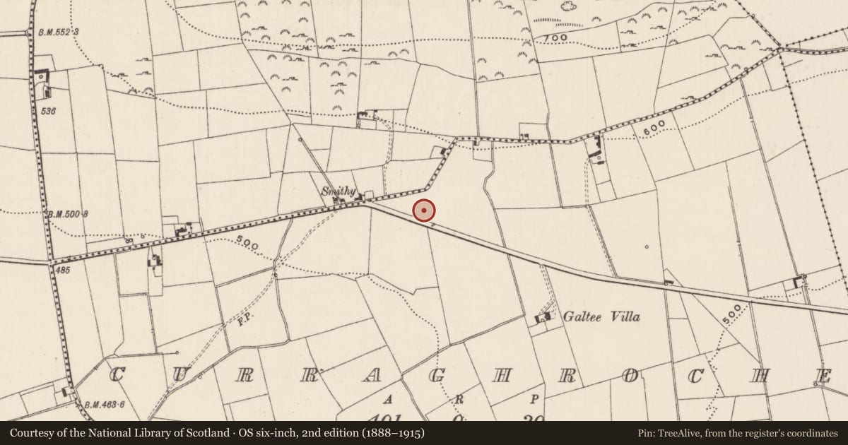 Ordnance Survey six-inch map, 2nd edition (1888–1915) covering the location of Earthwork, Curraghroche, County Limerick, with a pin at the register's coordinates