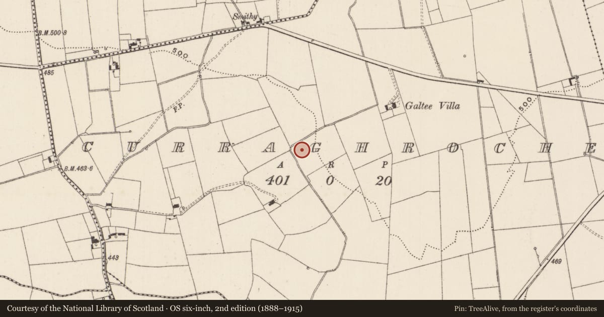 Ordnance Survey six-inch map, 2nd edition (1888–1915) covering the location of Earthwork, Curraghroche, County Limerick, with a pin at the register's coordinates