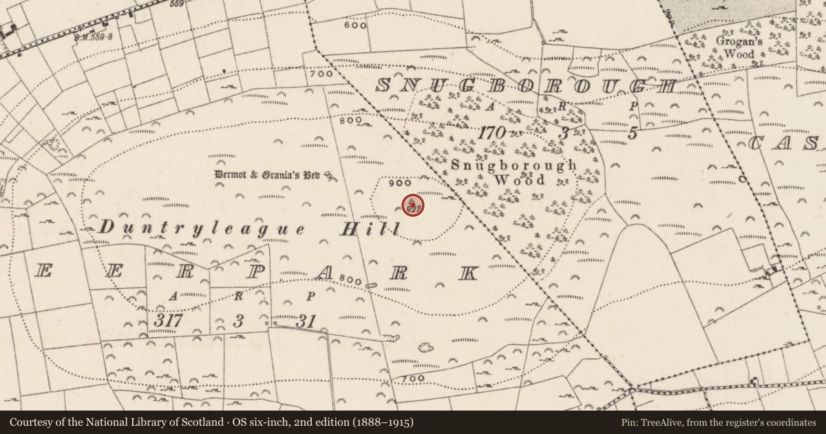 Ordnance Survey six-inch map, 2nd edition (1888–1915) covering the location of Cairn - unclassified, Deerpark, County Limerick, with a pin at the register's coordinates