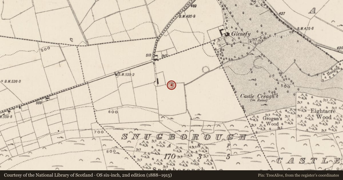 Ordnance Survey six-inch map, 2nd edition (1888–1915) covering the location of Earthwork, Snugborough, County Limerick, with a pin at the register's coordinates