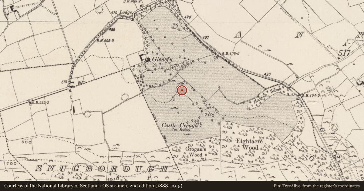 Ordnance Survey six-inch map, 2nd edition (1888–1915) covering the location of Enclosure, Castlecreagh, County Limerick, with a pin at the register's coordinates