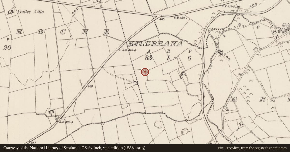Ordnance Survey six-inch map, 2nd edition (1888–1915) covering the location of Children's burial ground, Kilgreana, County Limerick, with a pin at the register's coordinates