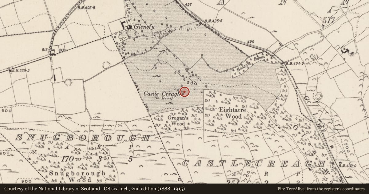 Ordnance Survey six-inch map, 2nd edition (1888–1915) covering the location of Castle - unclassified, Castlecreagh, County Limerick, with a pin at the register's coordinates