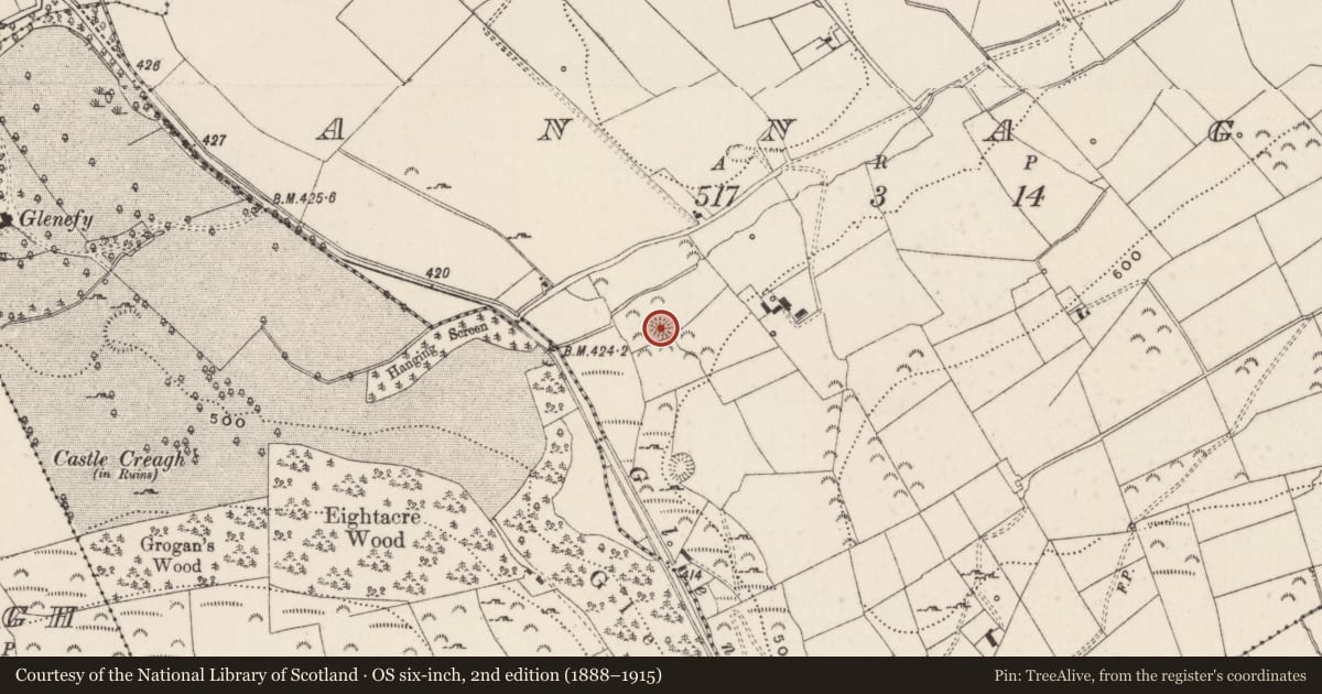 Ordnance Survey six-inch map, 2nd edition (1888–1915) covering the location of Enclosure, Annagh, County Limerick, with a pin at the register's coordinates