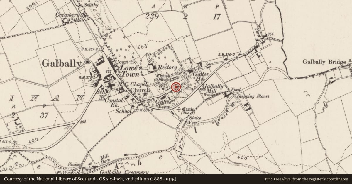 Ordnance Survey six-inch map, 2nd edition (1888–1915) covering the location of Historic town, Galbally, County Limerick, with a pin at the register's coordinates