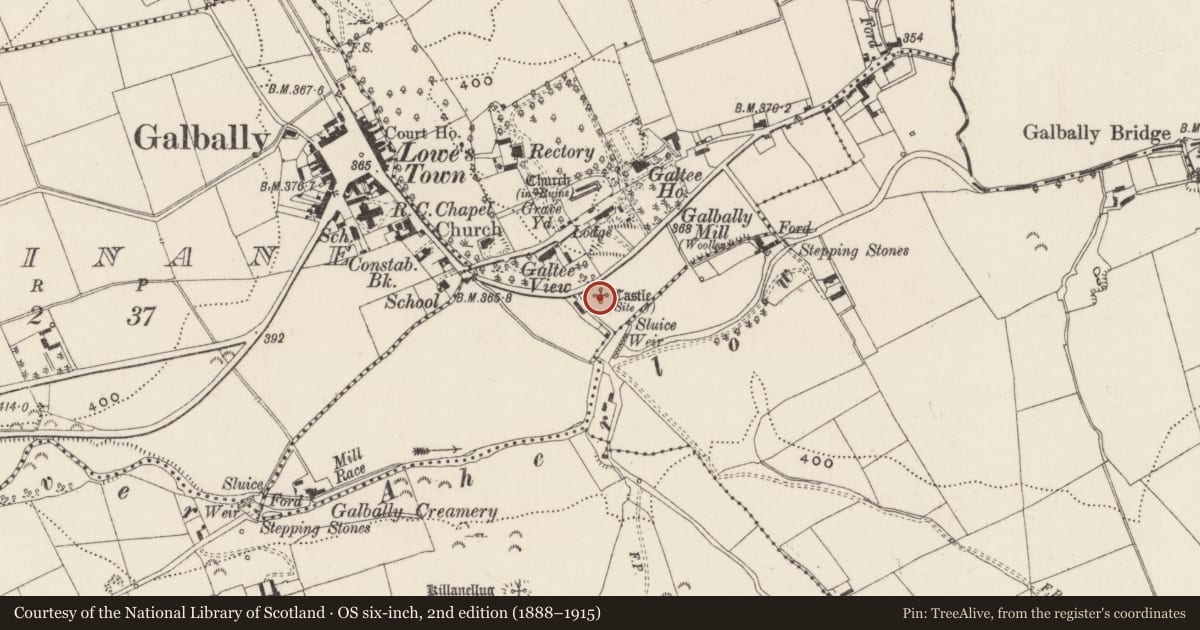 Ordnance Survey six-inch map, 2nd edition (1888–1915) covering the location of Castle - unclassified, Galbally, County Limerick, with a pin at the register's coordinates
