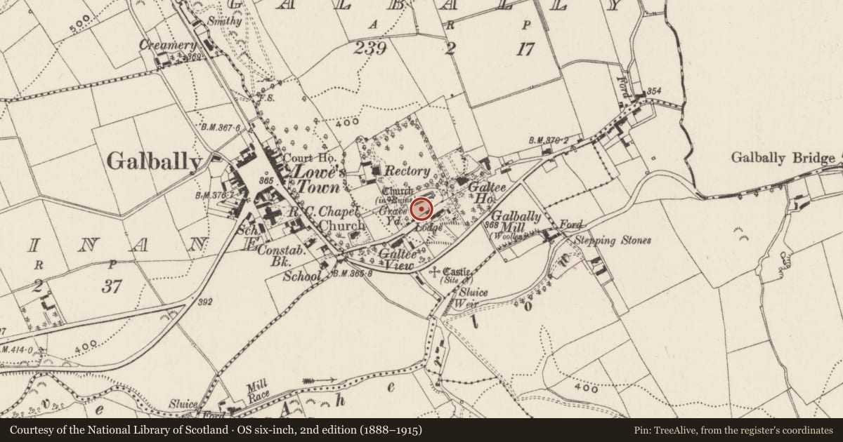 Ordnance Survey six-inch map, 2nd edition (1888–1915) covering the location of Headstone, Galbally, County Limerick, with a pin at the register's coordinates