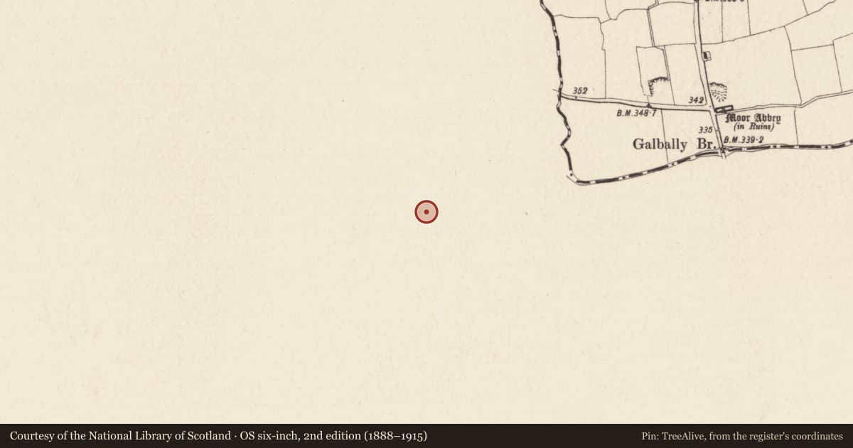 Ordnance Survey six-inch map, 2nd edition (1888–1915) covering the location of Water mill - unclassified, Galbally, County Limerick, with a pin at the register's coordinates