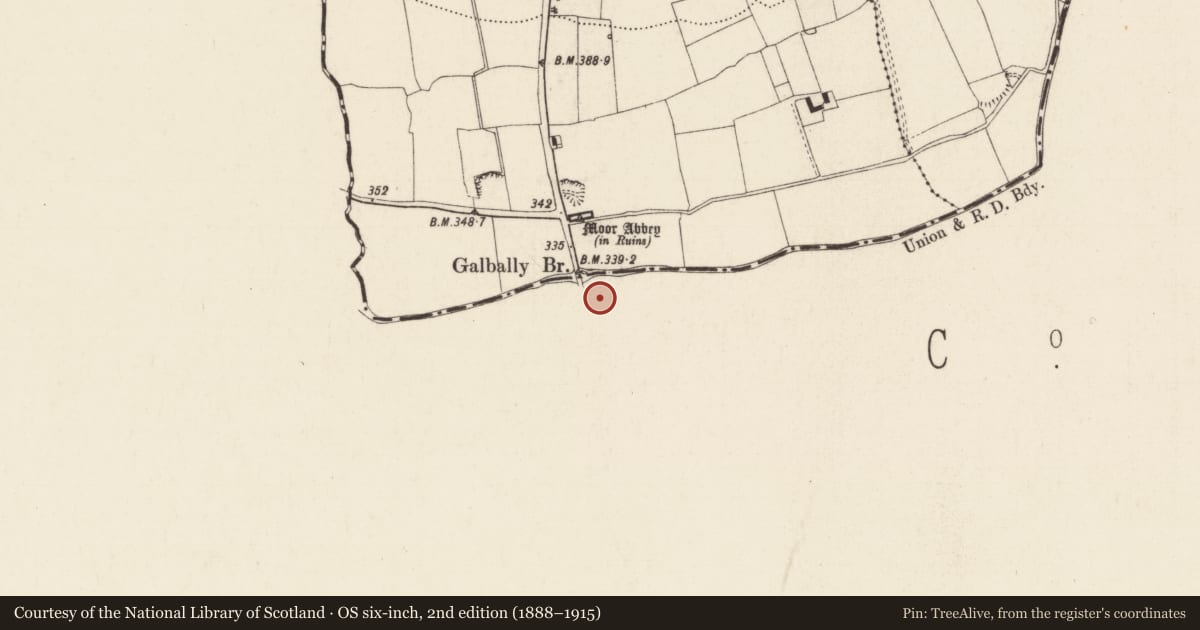 Ordnance Survey six-inch map, 2nd edition (1888–1915) covering the location of Ritual site - holy well, Ardnamoher, County Limerick, with a pin at the register's coordinates