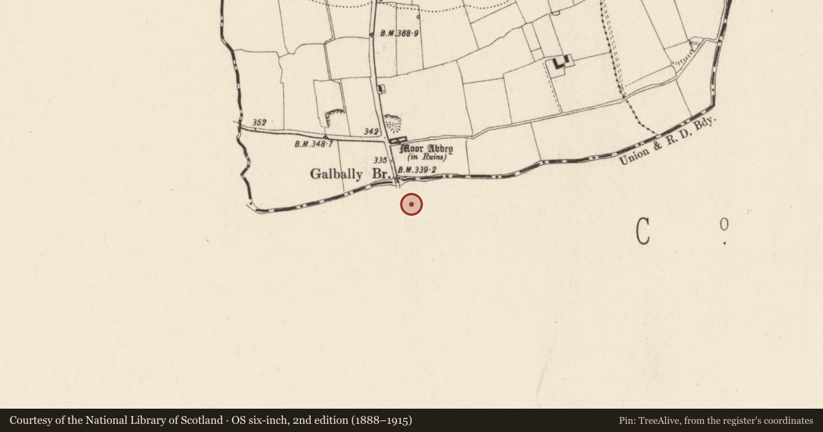 Ordnance Survey six-inch map, 2nd edition (1888–1915) covering the location of Quarry, Park, County Limerick, with a pin at the register's coordinates