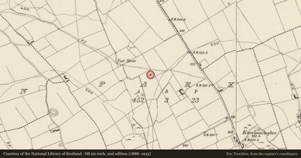 Ordnance Survey six-inch map, 2nd edition (1888–1915) covering the location of Enclosure, Park, County Limerick, with a pin at the register's coordinates